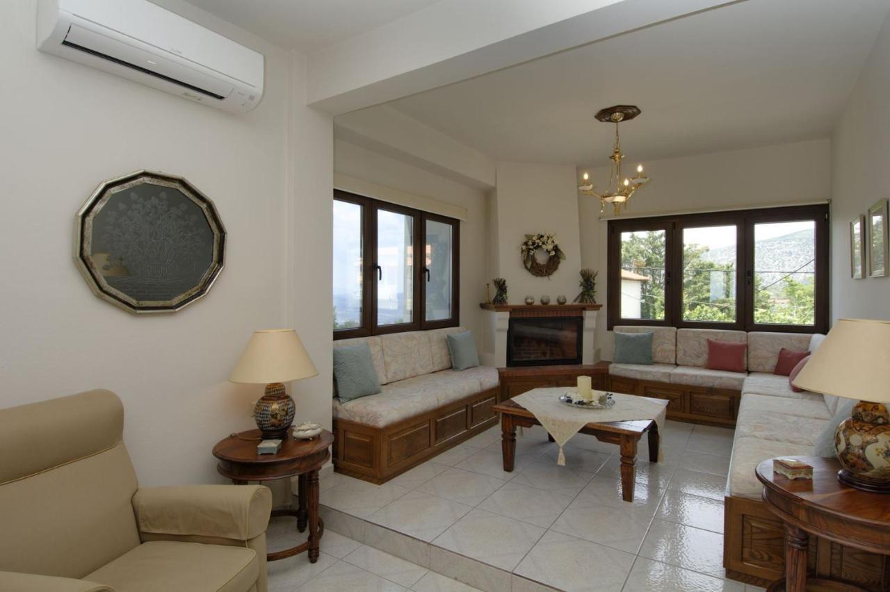 Iatrou House- Villa With Incredible View Portariá Extérieur photo
